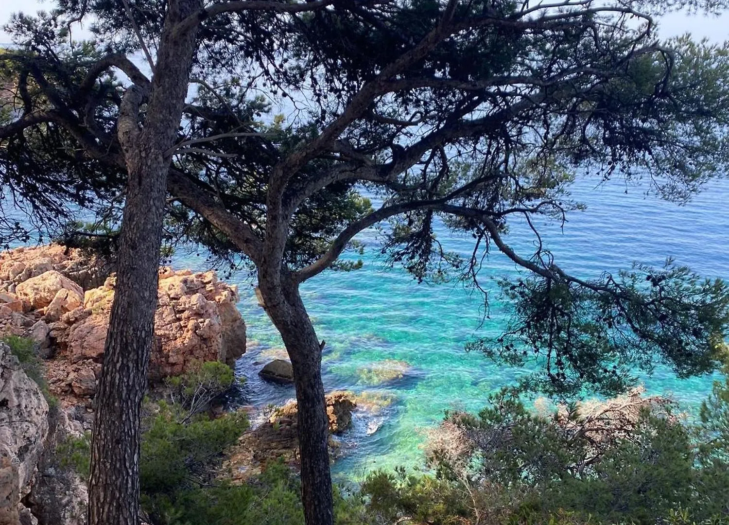 Zen A Vallongue Bandol Apartment